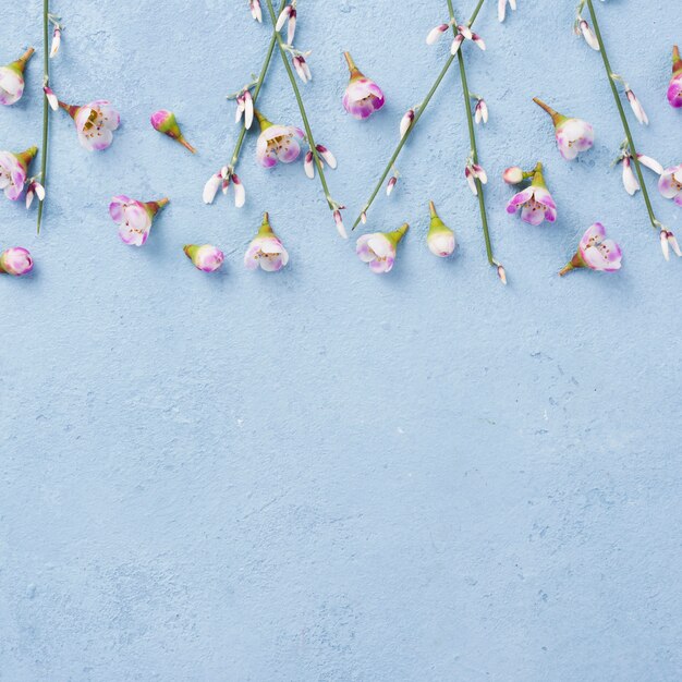 Vue de dessus des branches de fleurs avec copie-espace