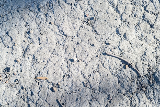 Photo gratuite vue de dessus des branches séchées sur le sol accidenté sous la lumière du soleil idéale pour les textures