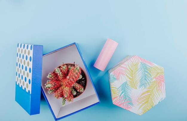 Vue de dessus d'un cactus dans un pot de fleurs dans une boîte cadeau en carton et rouleau de ruban adhésif sur fond bleu avec copie espace