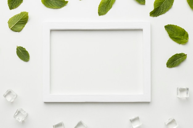 Vue de dessus cadre blanc avec feuilles