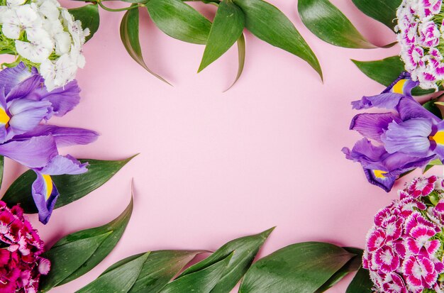 Vue de dessus d'un cadre fait de fleurs iris violet foncé œillet turc et rucus sur fond rose avec copie espace