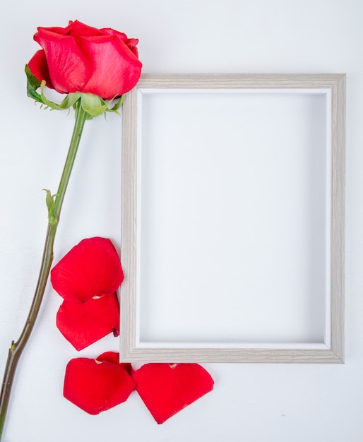 Vue de dessus d'un cadre photo vide avec rose de couleur rouge sur fond blanc avec espace de copie