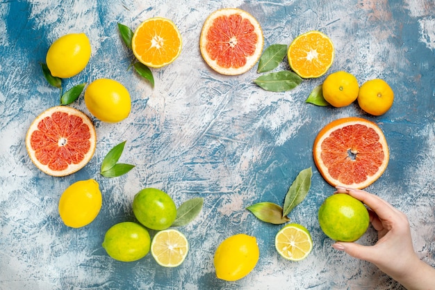 Photo gratuite vue de dessus cercle ligne agrumes citrons coupés pamplemousses mandarines citron en femme main sur tableau blanc bleu