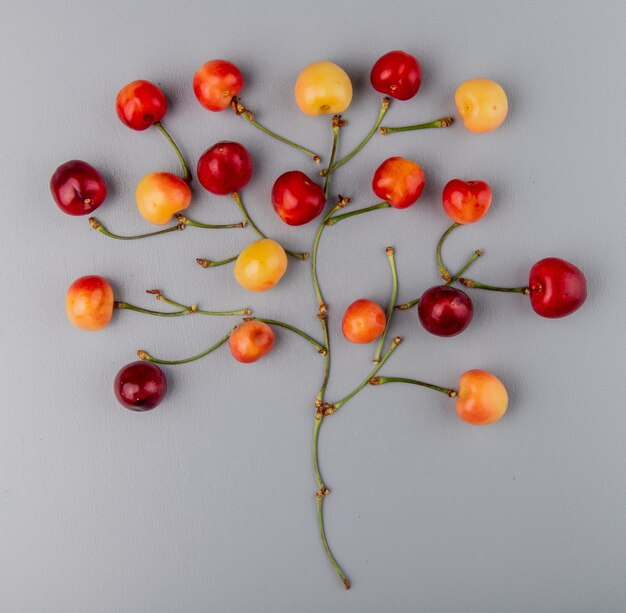 Vue de dessus des cerises mûres rainier disposées sur gris