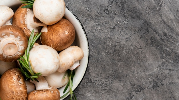 Vue de dessus des champignons dans un bol