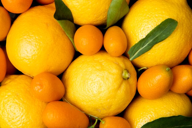 Vue de dessus des citrons entiers et des kumquats