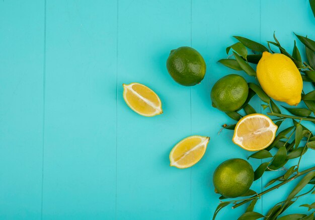 Vue de dessus des citrons verts et jaunes avec des feuilles sur une surface bleue