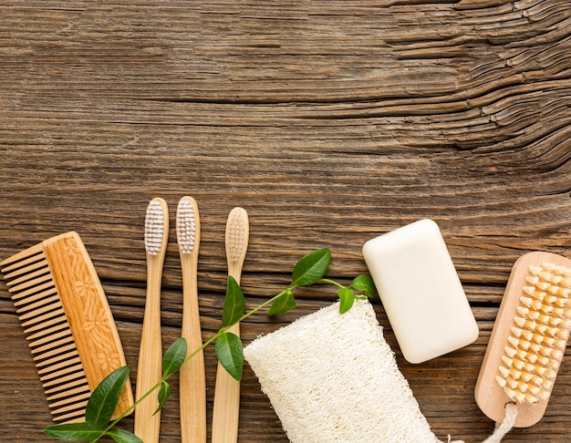 Vue de dessus collection de brosses à dents avec espace copie