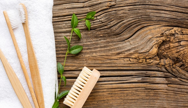 Vue de dessus collection de brosses à dents avec espace copie