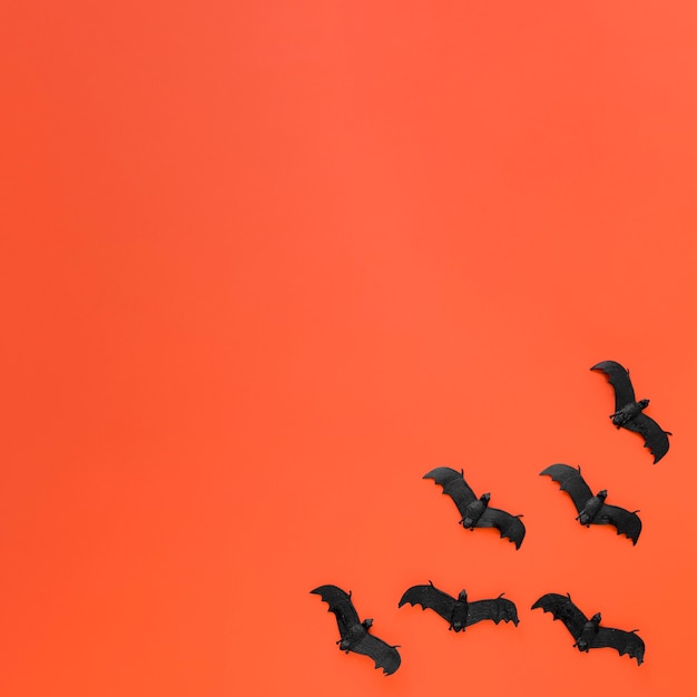 Vue de dessus collection de chauves-souris d'halloween avec espace copie