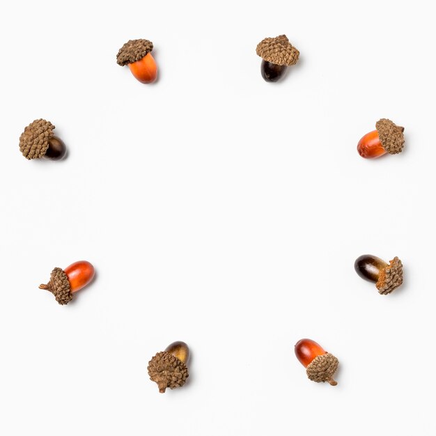 Vue de dessus collection de glands avec espace copie