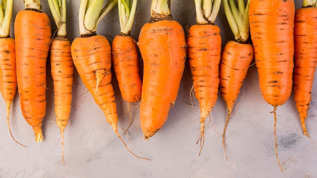 Photo gratuite vue de dessus composition de carottes avec espace copie