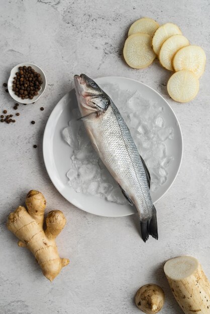 Vue de dessus délicieux arrangement de fruits de mer