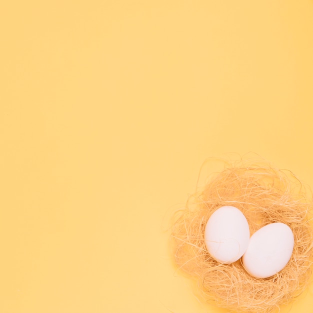 Une vue de dessus de deux œufs blancs dans le nid au coin du fond jaune