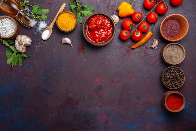 Vue de dessus différents assaisonnements avec des tomates fraîches sur un espace sombre