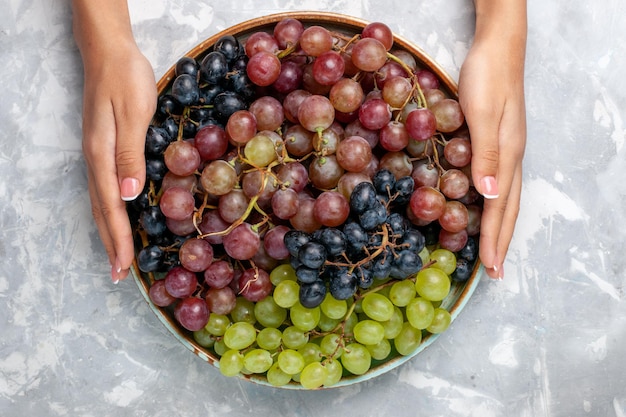 Photo gratuite vue de dessus différents raisins fruits aigres juteux et moelleux sur le bureau blanc clair