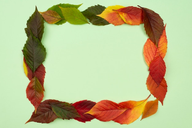 Photo gratuite vue de dessus du beau cadre de feuilles d'automne avec espace copie