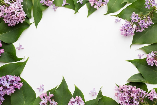 Vue de dessus du beau concept de cadre lilas