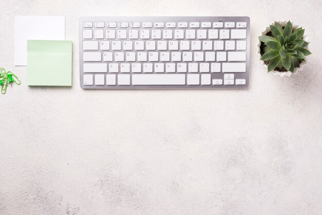 Vue de dessus du bureau organisé avec clavier et plante succulente