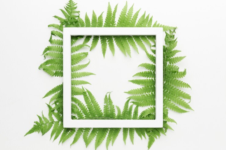 Photo gratuit vue de dessus du cadre avec le concept de feuilles