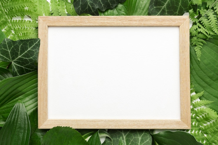 Photo gratuit vue de dessus du cadre avec le concept de feuilles