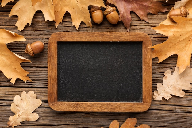 Photo gratuite vue de dessus du cadre avec des feuilles d'automne et des glands