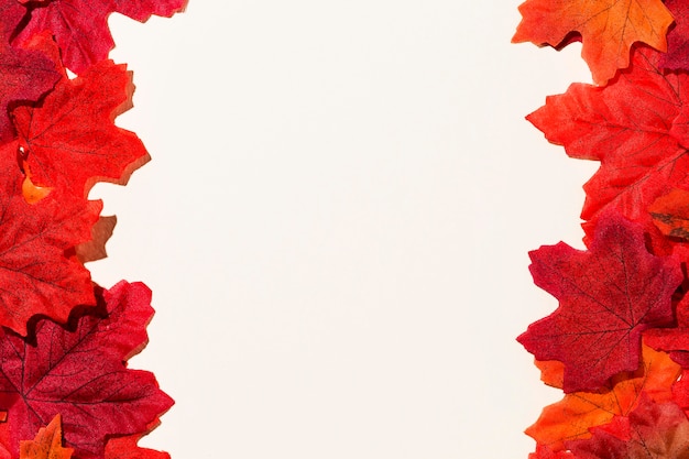 Photo gratuite vue de dessus du cadre de feuilles d'automne