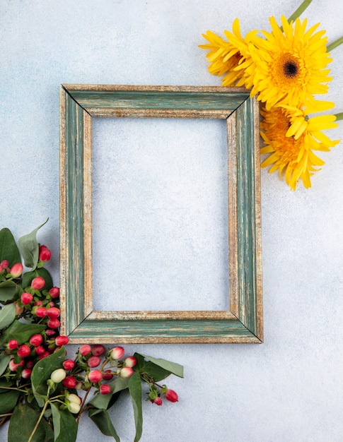 Vue de dessus du cadre avec des fleurs sur blanc avec espace copie