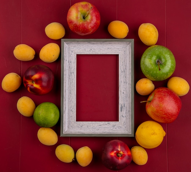 Photo gratuite vue de dessus du cadre gris avec des pêches, des abricots et des pommes sur une surface rouge