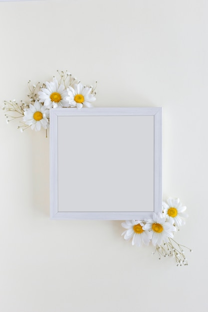 Vue de dessus du cadre photo blanc décoré avec des fleurs de Marguerite blanche sur fond blanc