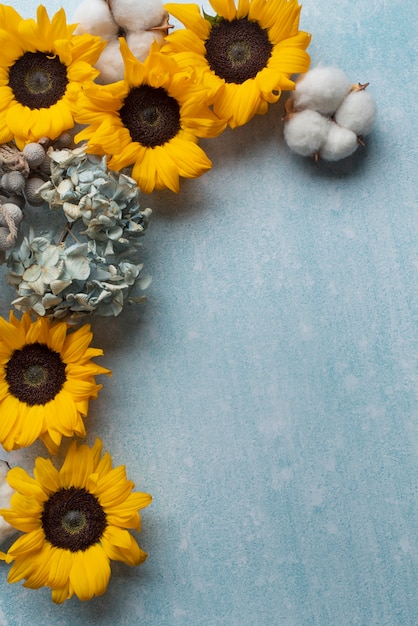 Vue de dessus du cadre de tournesols avec du coton