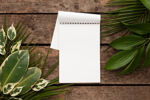 Vue de dessus du cahier avec de belles feuilles de plantes