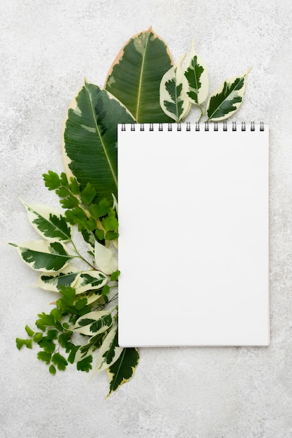 Vue de dessus du cahier avec différentes feuilles de plantes