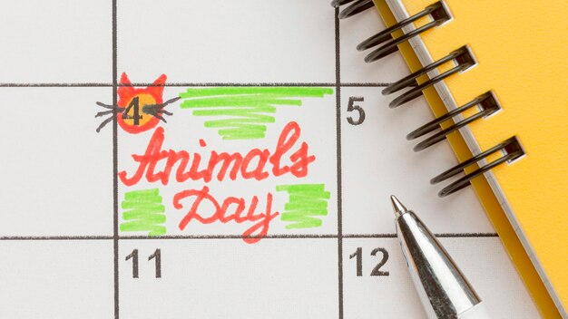 Vue de dessus du cahier et du calendrier pour la journée des animaux