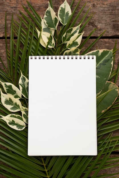 Vue de dessus du cahier sur les feuilles des plantes