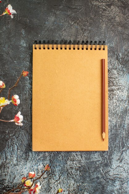 Vue de dessus du cahier marron avec stylo