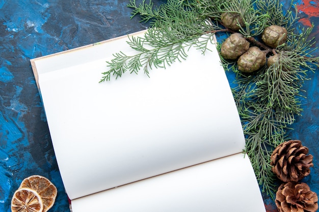 Vue de dessus du cahier ouvert branches de sapin cônes jouets d'arbre de Noël sur une surface bleue