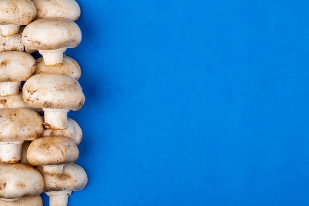 Photo gratuite vue de dessus du champignon aux champignons frais sur fond bleu avec copie espace