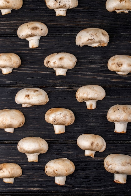 Photo gratuite vue de dessus du champignon aux champignons frais isolé sur fond de bois foncé