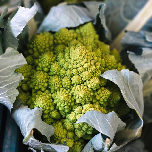 Une vue de dessus du chou-fleur romanesco vert