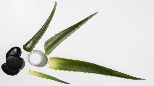 Vue de dessus du concept de beauté d'aloe vera