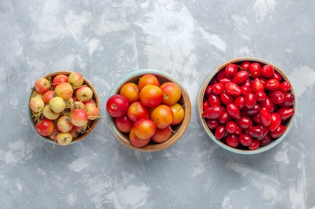 Vue de dessus du cornouiller rouge avec cerise-prunes et cerises sur un bureau blanc