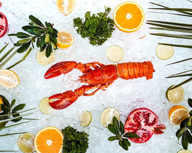 Vue de dessus du homard rouge placé sur de la glace entouré de tranches de fruits