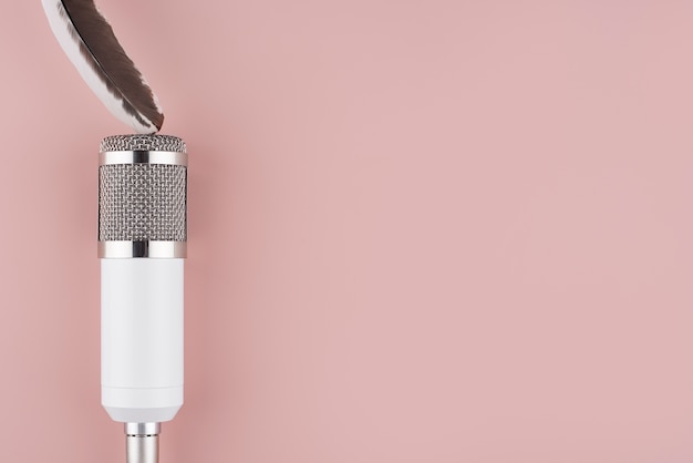 Photo gratuite vue de dessus du microphone asmr avec plume