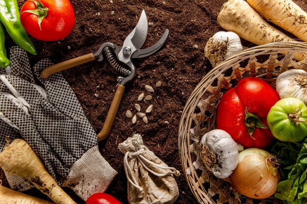 Vue de dessus du panier de légumes avec des ciseaux