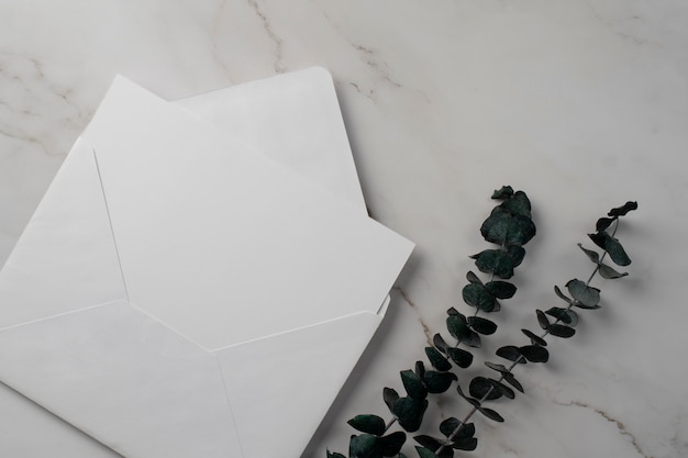 Vue de dessus du papier de mariage et enveloppe avec plante séchée