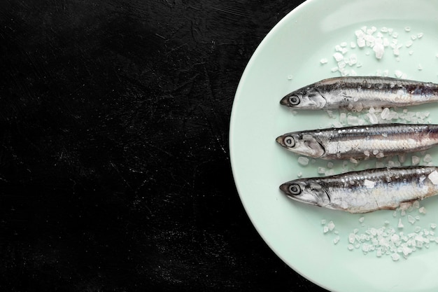 Photo gratuite vue de dessus du poisson sur une assiette avec du sel et de l'espace de copie