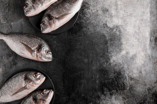 Vue de dessus du poisson sur fond d'espace copie