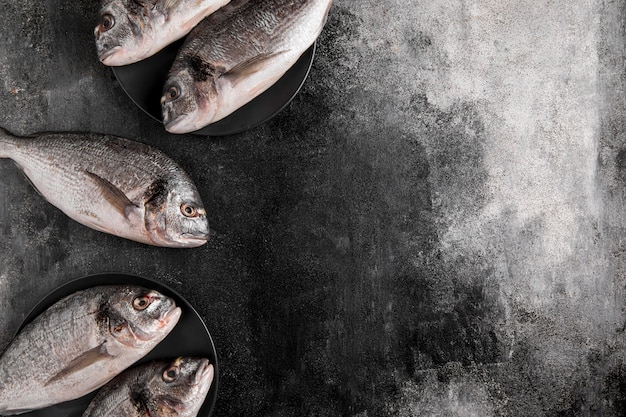 Vue de dessus du poisson sur fond d'espace copie