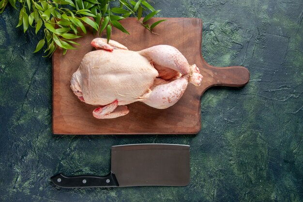 Vue de dessus du poulet frais avec des feuilles vertes sur une surface bleu foncé